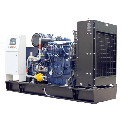 Brushless Three Phase AC Natural Gas Generator 10 KW XSA-10GFQ