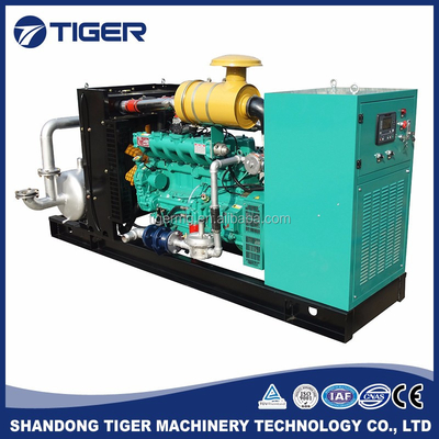 CE Approved Heat And CHP Boiler Natural Gas High Efficiency Generator TG100GF Of Combined Output 100kw Power
