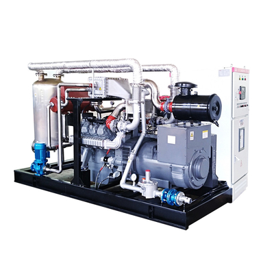 Ronsun Brand CE Approved continuous bio gas generator With Synchronous System