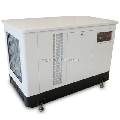 OEM Dual Fuel Substitute Natural Gas NG/Liquid Propane LPG Soundproof Silent Generator 30kw 1640*970*1100