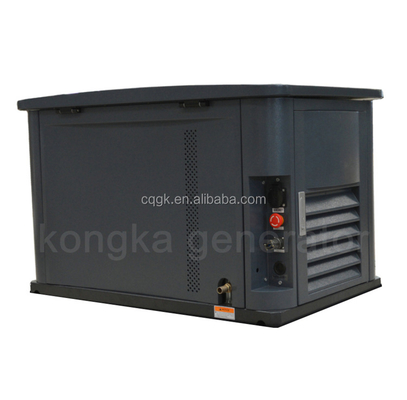 dual fuel substitute natural gas NG/liquid propane LPG soundproof silent generator 10kw 10kva 1230*760*770